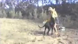 Винтажное зоо порно с собакой ретро porn zoo