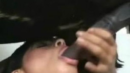 Голые брюнетки делают минет коню